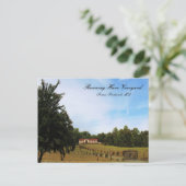 ランニングズハレヴィンヤード ポストカード (スタンド正面)