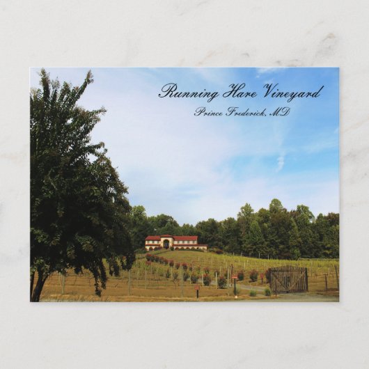 ランニングズハレヴィンヤード ポストカード (正面)