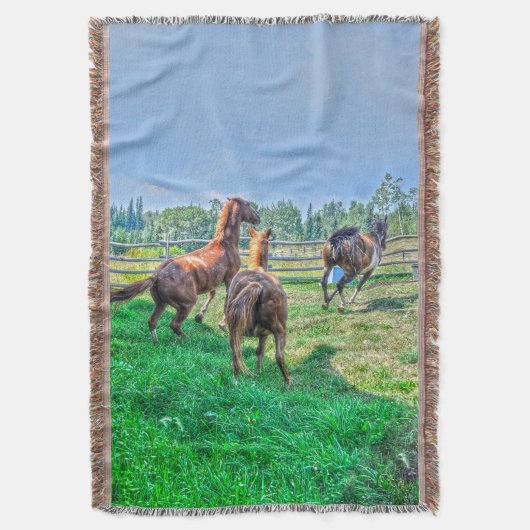 ランニングズピント絵を描グ・チェットスタリオン スローブランケット (正面縦)