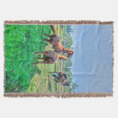 ランニングズピント絵を描グ・チェットスタリオン スローブランケット (正面)