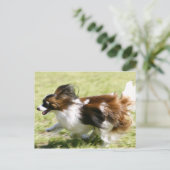 ランニングパピロン ポストカード (スタンド正面)