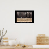 ランニングホワイトテールポスター ポスター (キッチン)