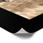 ランニングホワイトテールポスター ポスター (角)