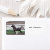 ランニングラ誇りを持ったベル ラベル (インサイチュ)