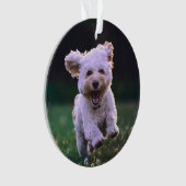 ランニング白プードルかわいい犬 オーナメント (正面)