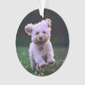 ランニング白プードルかわいい犬 オーナメント (正面)