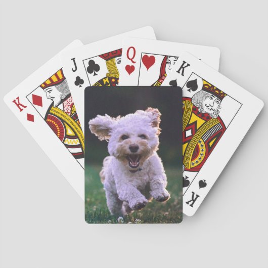ランニング白プードルかわいい犬 トランプ (裏面)