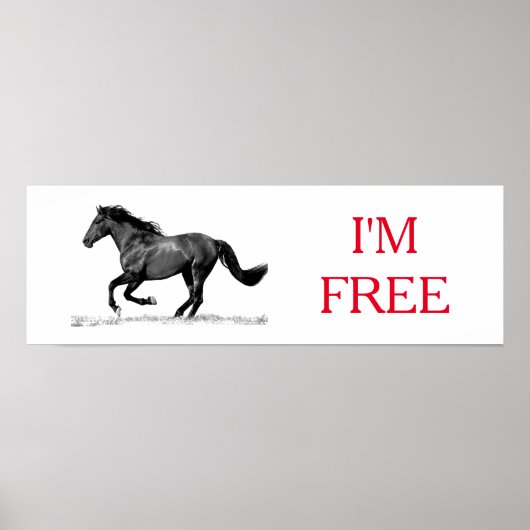 ランニング白黒の馬の自由 ポスター (正面)