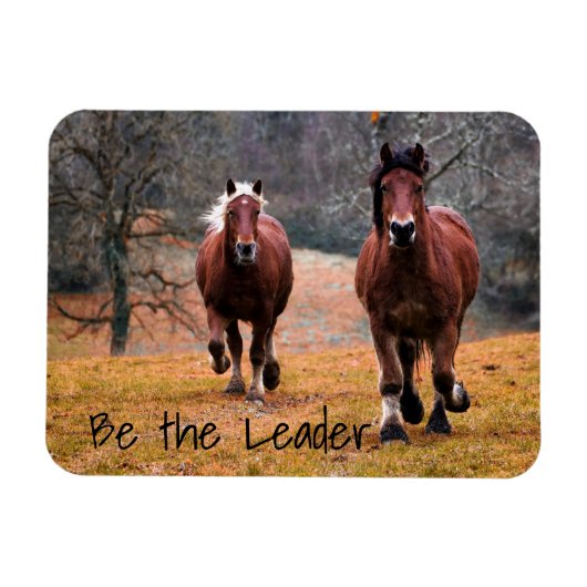 ランニング馬が統率者だ マグネット (横)