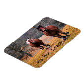 ランニング馬が統率者だ マグネット (左側)