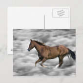 ランニング馬 ポストカード (正面/裏面)