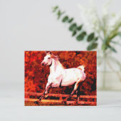 ランニング馬 ポストカード (スタンド正面)
