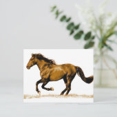 ランニング馬 ポストカード (スタンド正面)
