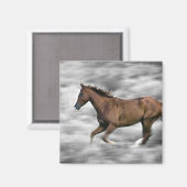 ランニング馬 マグネット (正面/裏面)