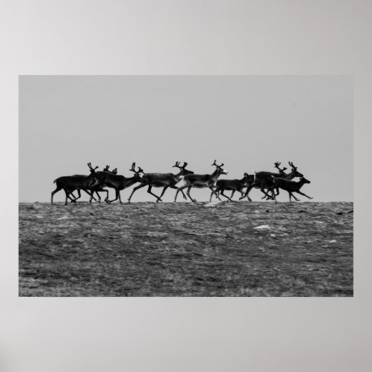 ランニング ポスター (正面)