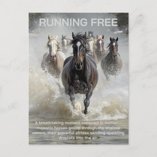 ランニング ポストカード (正面)