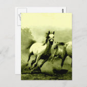 ランニング ポストカード (正面/裏面)