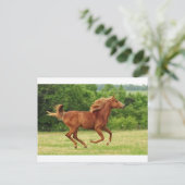 ランニング ポストカード (スタンド正面)