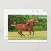 ランニング ポストカード (正面/裏面)