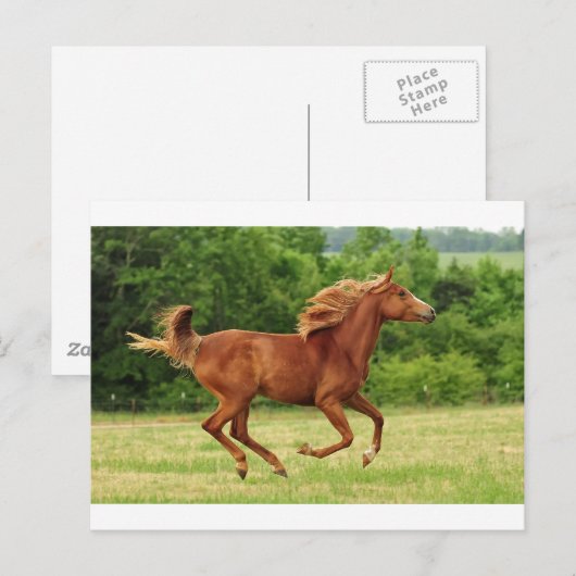 ランニング ポストカード (正面/裏面)