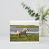 ランニング ポストカード (スタンド正面)