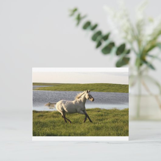 ランニング ポストカード (スタンド正面)