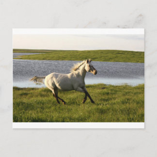 ランニング ポストカード