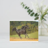 ランニング ポストカード (スタンド正面)