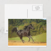 ランニング ポストカード (正面/裏面)