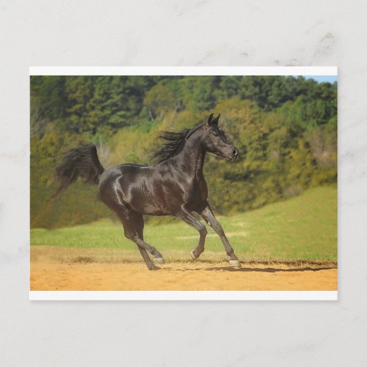 ランニング ポストカード (正面)