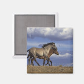 ランニング マグネット (正面/裏面)