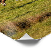 ランニングHorse Herd & Ranch Pastureの写真ウマ科の(Hose Herd & ポスター (コーナー)