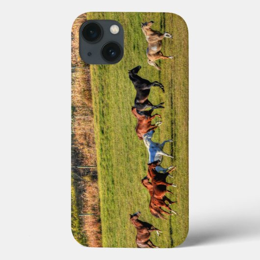 ランニングHorse Herd & Ranch Pastureの写真ウマ科の(Hose Herd & Case-Mate iPhoneケース (裏面)