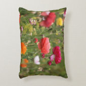 ランヌカルスの虹 アクセントクッション (正面(垂直))