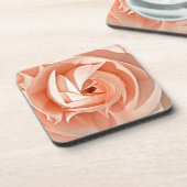 ランヌカルス渦 コースター (左側)