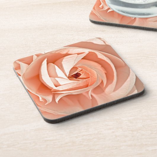 ランヌカルス渦 コースター (左側)