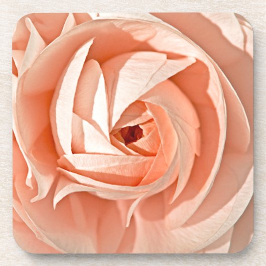 ランヌカルス渦 コースター (正面)