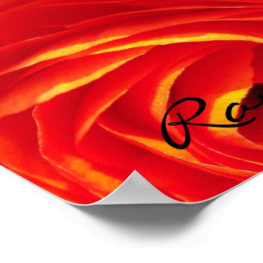 ランヌカルス ポスター (角)