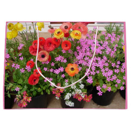 ランヌンキュラス春球根お誕生日ケーキビーフボックス ラージペーパーバッグ