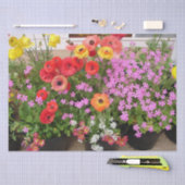 ランヌンキュラス春球根誕生日ピンクガーデン 薄葉紙 (クラフト)