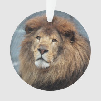 ランバート- オーナメント