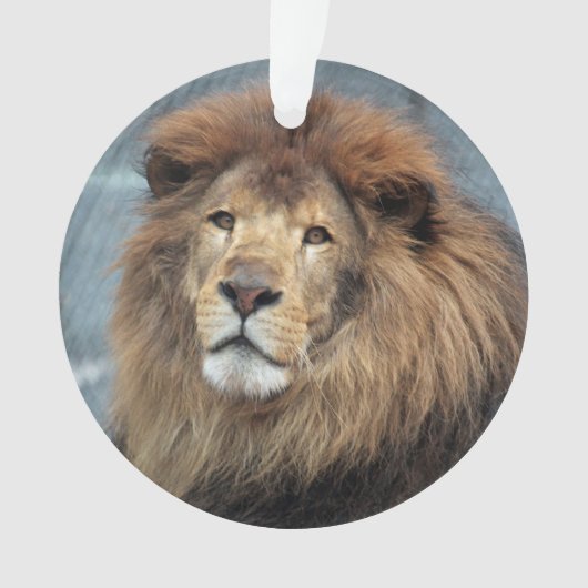 ランバート- オーナメント (正面)