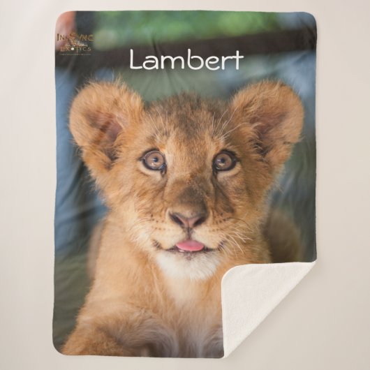 ランバート シェルパブランケット (正面)