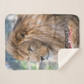 ランバー –   シェルパブランケット (正面(横))