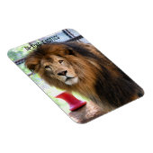 ランバー –  マグネット (右側)