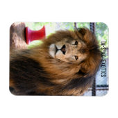 ランバー –  マグネット (横)