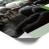 ランブス広場ポスターで囲む ポスター (コーナー)