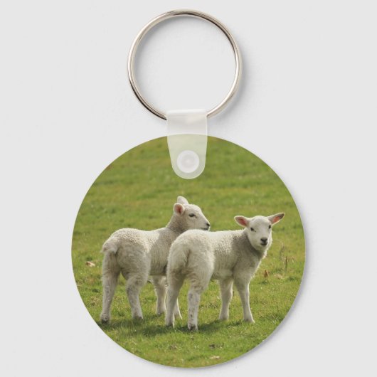 ランブス キーホルダー (正面)