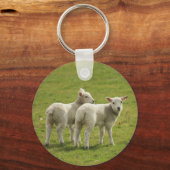 ランブス キーホルダー (正面)