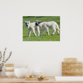 ランブス ポスター (キッチン)